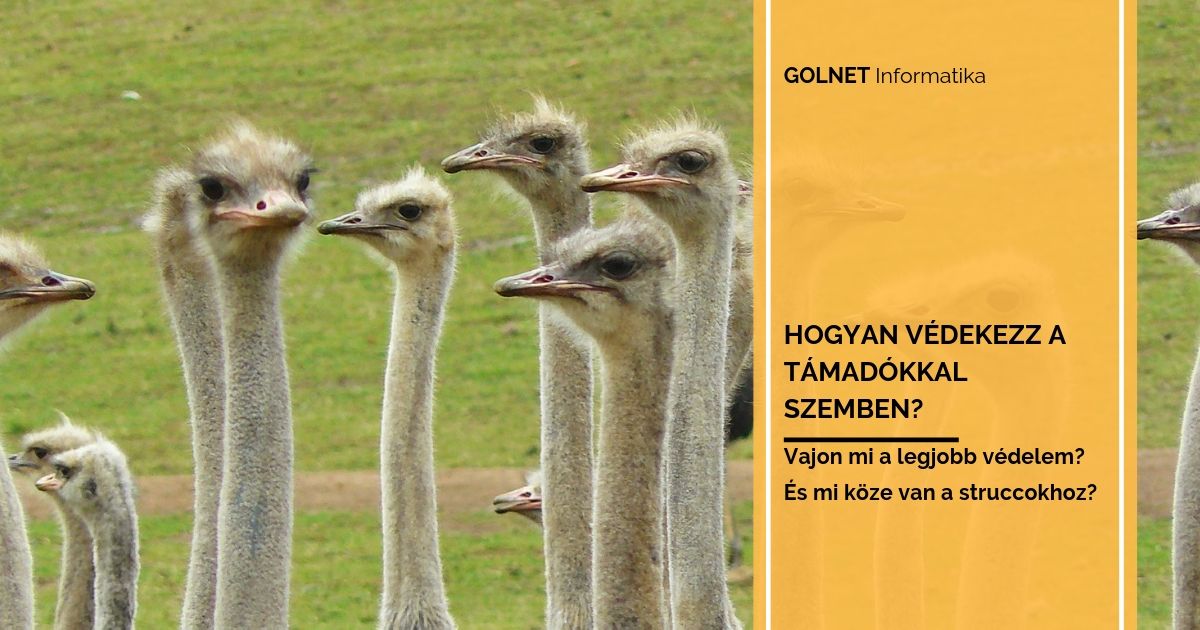 Hogyan védekezzünk a támadókkal szemben?